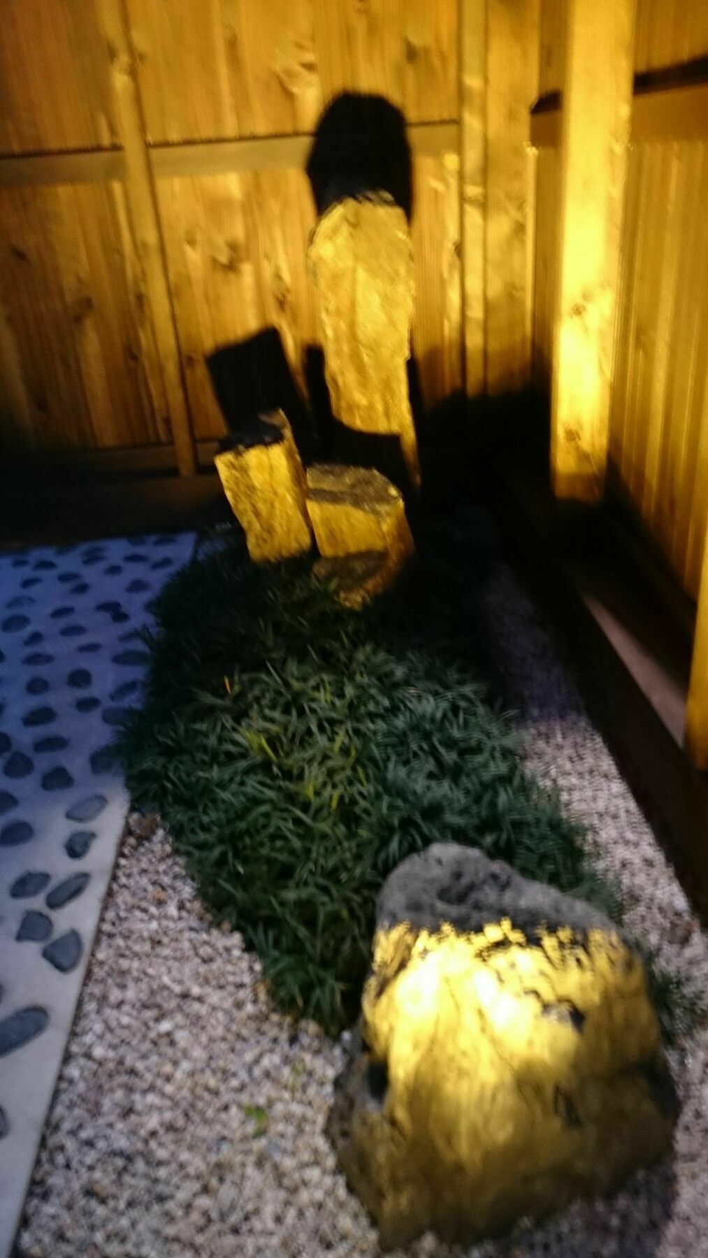 Kyonoyado Senkaku Bettei Villa Kyoto Dış mekan fotoğraf